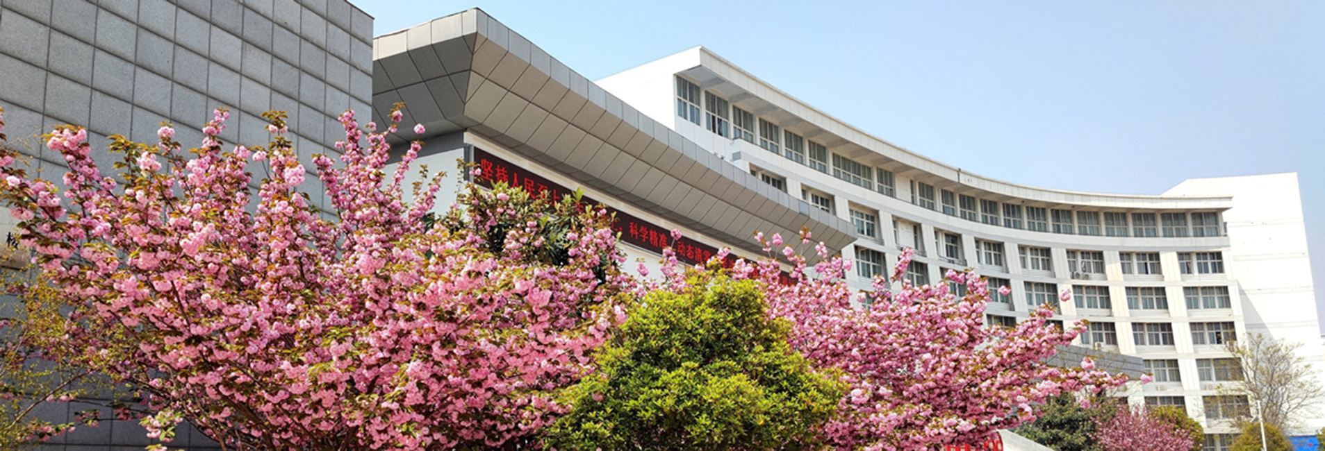 威廉希尔足球网