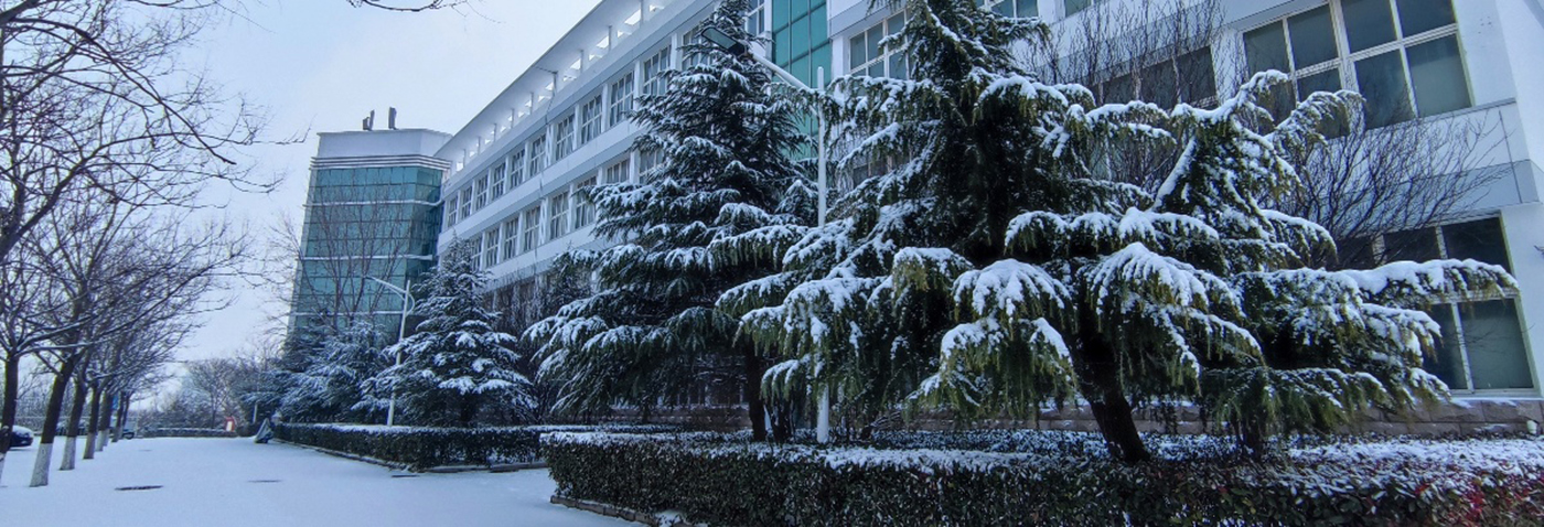 威廉希尔足球网