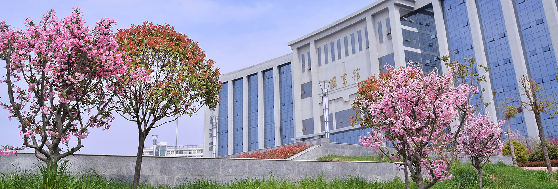 威廉希尔足球网